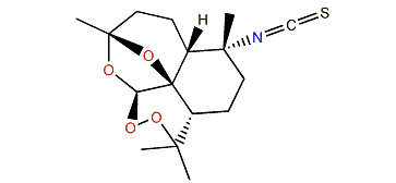 Halichon B